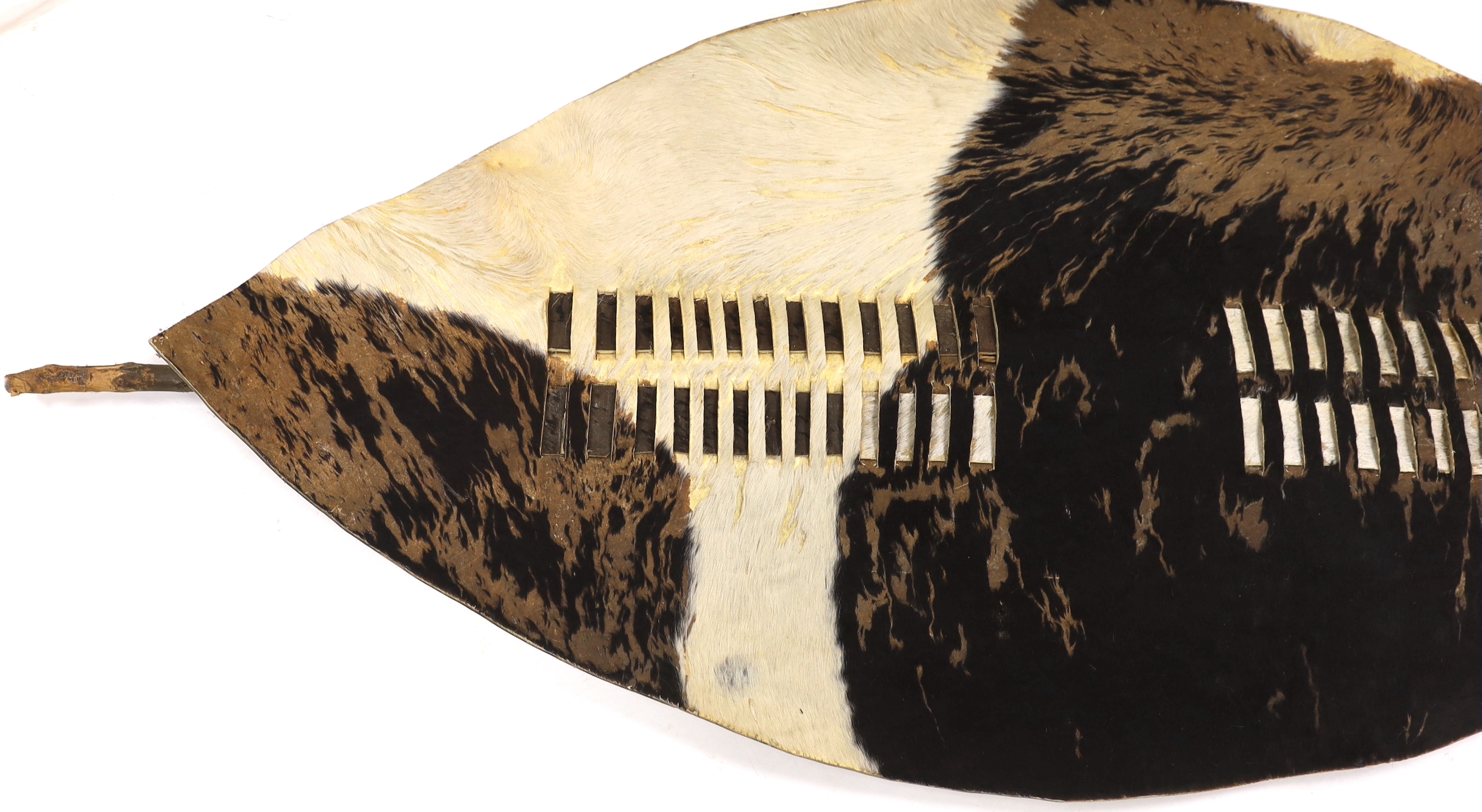 A large Ishilunga cowhide shield of conventional form with wooden stiffener, 148cm